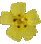 hlianthme